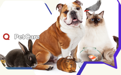 Pet Care Market Trends & Quora Audience Insights