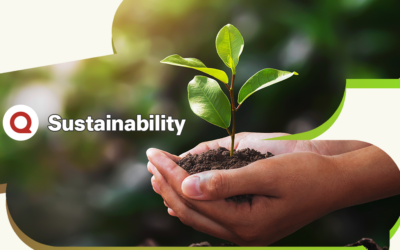 Sustainability Market Trends & Quora Audience Insights